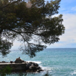 Miramare maggio 2018