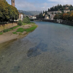 Verona 2017